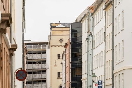 Skøn lejlighed i to etager med privat tagterrasse - Photo 5