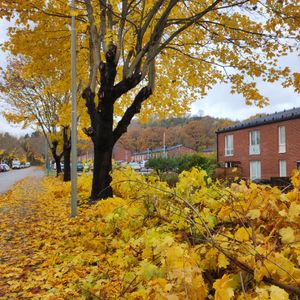 Bäckgårdsvägen, Vårby - Foto 2