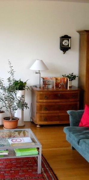3-ROOM APARTMENT IN WORB (BE), FURNISHED - Photo 1