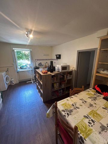 Location appartement ancien 1 pièce 39 m² à Chavanay (42410) - Photo 3
