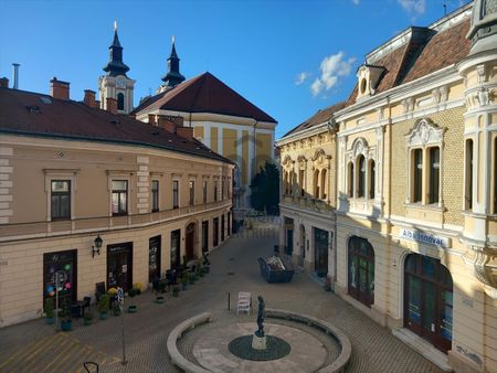 Kiadó jó állapotú lakás - Székesfehérvár - Photo 2