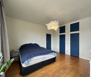 Two Bedroom House - Wadestown - Photo 3