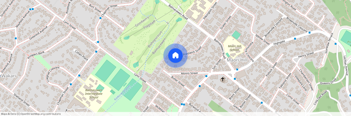 37 Prestwick Street, Maori Hill, Dunedin City