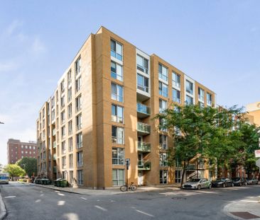 98, Rue Charlotte, 563, Montréal - Photo 5
