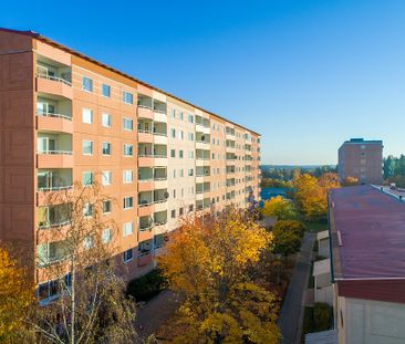 Skyttens Gata 558, Brandbergen - Foto 6