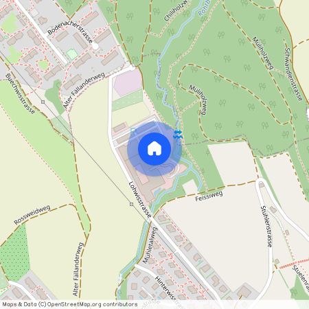 Lohwisstrasse 38, 8123 Ebmatingen, Schweiz