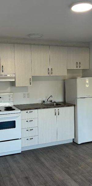 Beau 3 1/2 - Libre immédiatement - Air climatisé - Photo 1