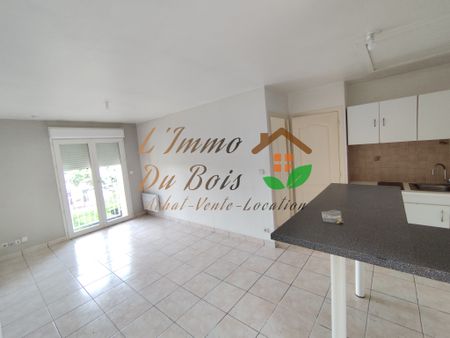 Location Appartement 2 pièces 33m² CHAVANAY 42410 - Photo 3