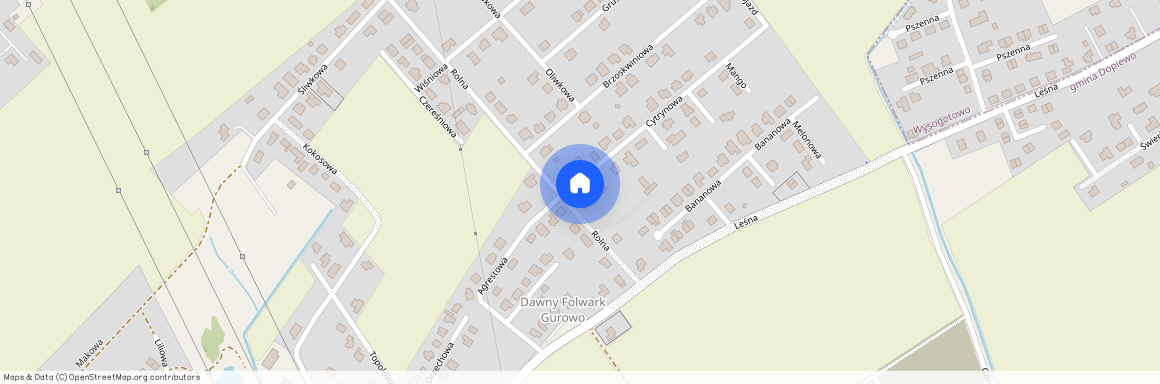 Cytrynowa 4A/2, Dąbrowa, Dopiewo, poznański, wielkopolskie