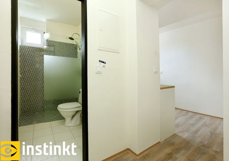 Pronájem bytu 1+1 33 m² - Fotografie 5