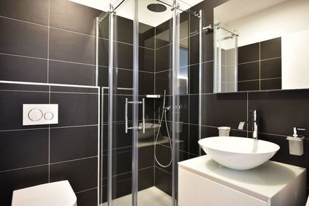Modern Furnished Apartment Luxury C19 Bellinzona - Photo 5