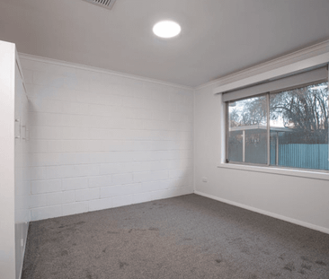 Fresh As a Daisy - Photo 6