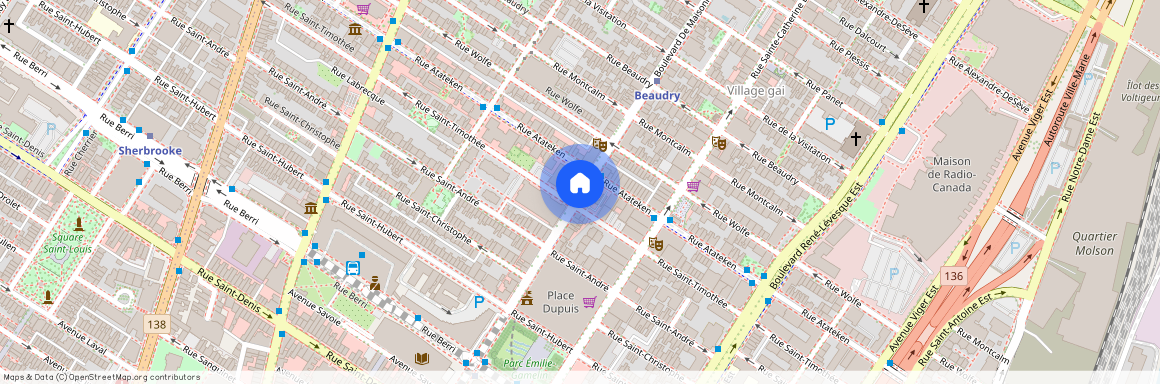 1570 St-Timothée, Ville-Marie, Ville-Marie, Ile de Montréal, H2L 4P9