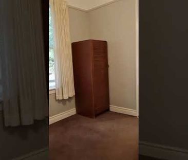 Bush-surrounded 2 bed flat in Aro Valley - Photo 4