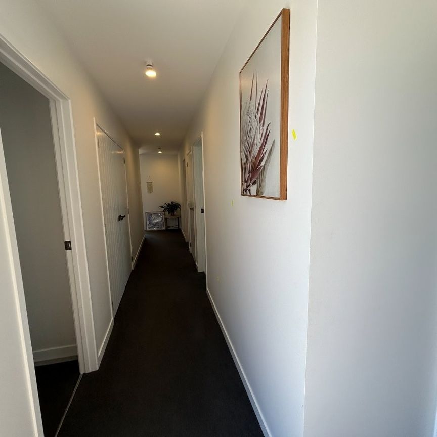 Bronze Delight - Papamoa - Photo 1