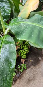 Trinity Beach - Photo 4