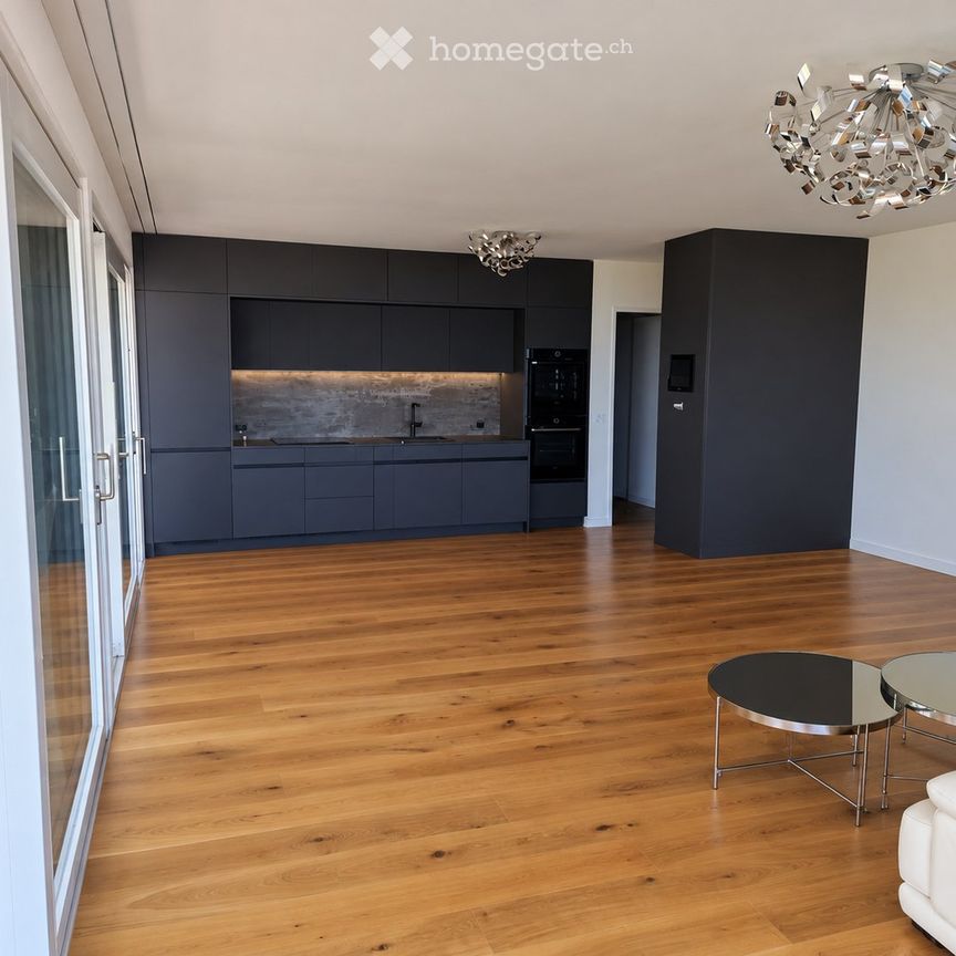 Stunning lake & mountain views modern apartment in Horgen - Photo 1