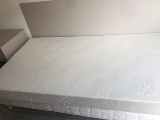 Location Appartement 1 pièce 20m² STRASBOURG 67000 - Photo 1