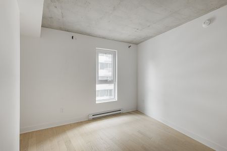 100 Rue Murray, #808 - Photo 4