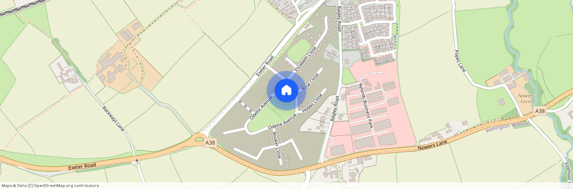 Odette Avenue, Wellington, Somerset, TA21