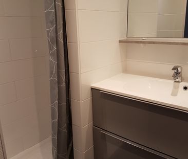 Location Appartement 22m² VANDOEUVRE LES NANCY 54500 - Photo 2