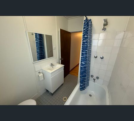 5 Bristol Street, Woodberry, NSW 2322 - Photo 5