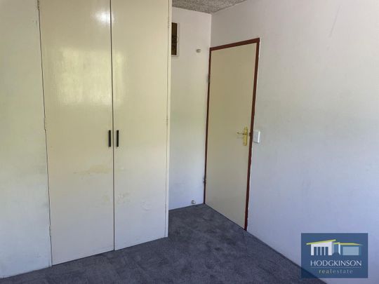 77/4 Wilkins Street, Mawson ACT 2607 - Apartment For Rent | Domain - Photo 1
