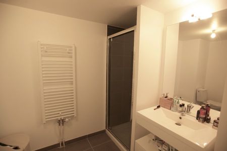 Appartement 2 pièces à Lille - Photo 3