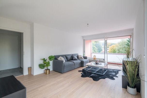 3.5-room apartment renovated in 2025 on 3rd floor - Photo 1