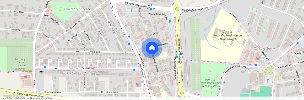 ul. Władysława Łokietka, Głogów, głogowski, dolnośląskie