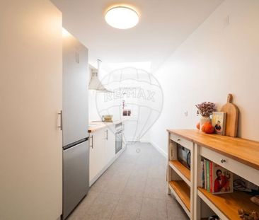 4 room luxury House for rent in Cascais, Lisbon - Photo 1