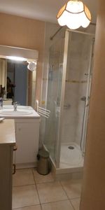 Appartement T2 Muret à louer - Photo 3