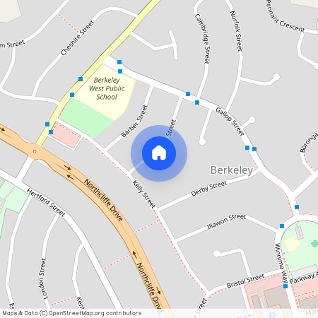 21a Rhondda Street, NSW 2506, Berkeley