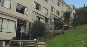 Spacious Sunny 6BR Dunedin Delight - Photo 1