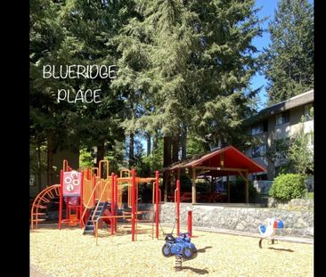 Blueridge Apartments - Photo 1