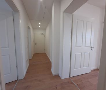 Elbnahe 3-Raum-Wohnung mit Balkon und viel Tageslicht - Foto 2