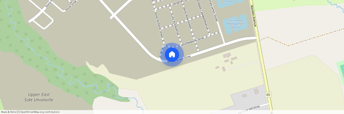 163 Berczy Green Drive, Markham