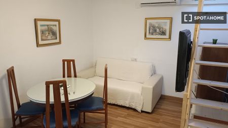 seville, Andalusia 41006 - Photo 4