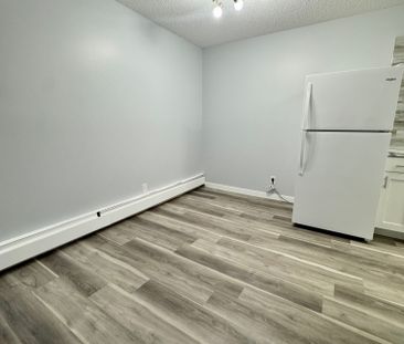 Modern and Spacious 2-Bedroom Apartment - SMALL PET FRIENDLY! - Photo 2