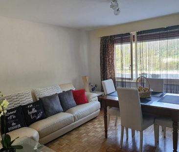 2.5 Zimmer, EG - Photo 3