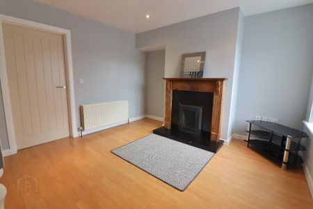 47 Castle Lane Mews, Lurgan, BT67 9GE - Photo 2