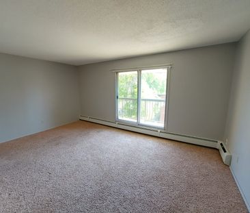 1 Bedroom Unit in Mature Area of Downtown - Photo 5