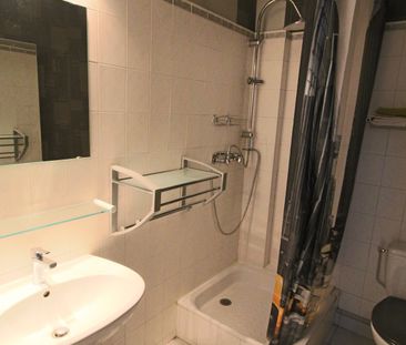 T2 Meublé- Presqu'ile - 40m2-Meublé- Disponible ! - Photo 3