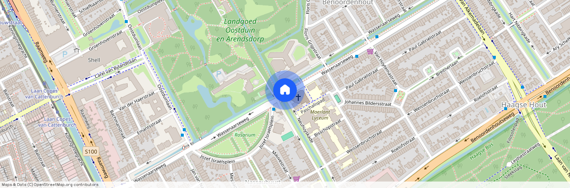 Nassaubuurt, 2596 CG, Wassenaarseweg, Den Haag