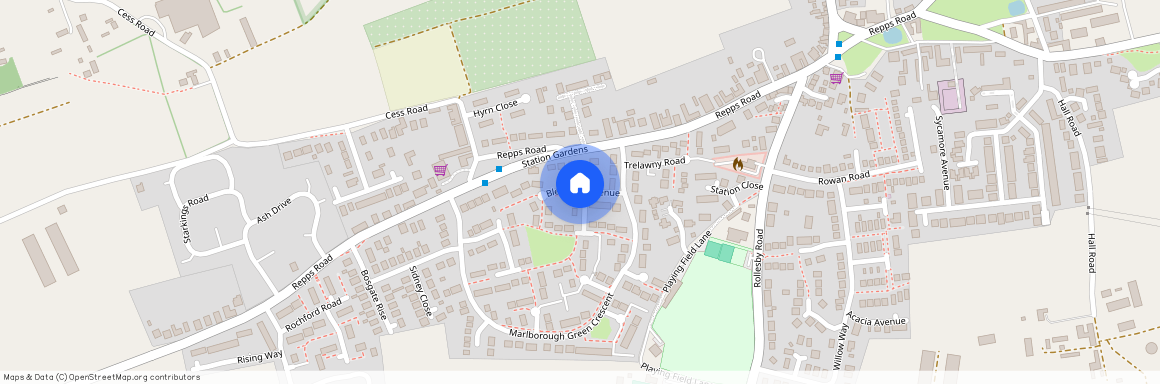 Blenheim Avenue, Martham, Great Yarmouth