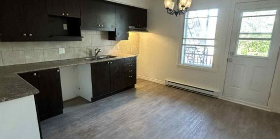 4 1/2 a louer 1500 $ / mois, tres grand, deux chambres a caucher, grande cuisine, sale de bain avec entree secheuse laveuse, et rangement au sous-sol - Photo 3