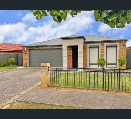 10 Madden Avenue, Glandore, SA 5037 - Photo 5