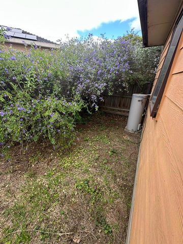 SIMPLE LIVING - Photo 5