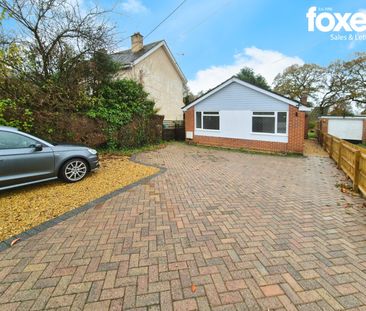 2 bed bungalow to rent in West Moors, Ferndown, Dorset, BH22 - Photo 4