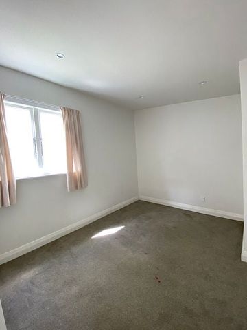 As New 2 bedroom house in Mt Vic - Photo 5